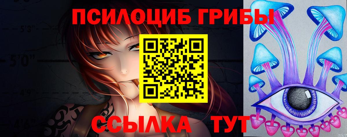 Галлюциногенные грибы мицелий  Псилоцибиновые грибы Cubensis  Вход с VPN  Михайловск 
