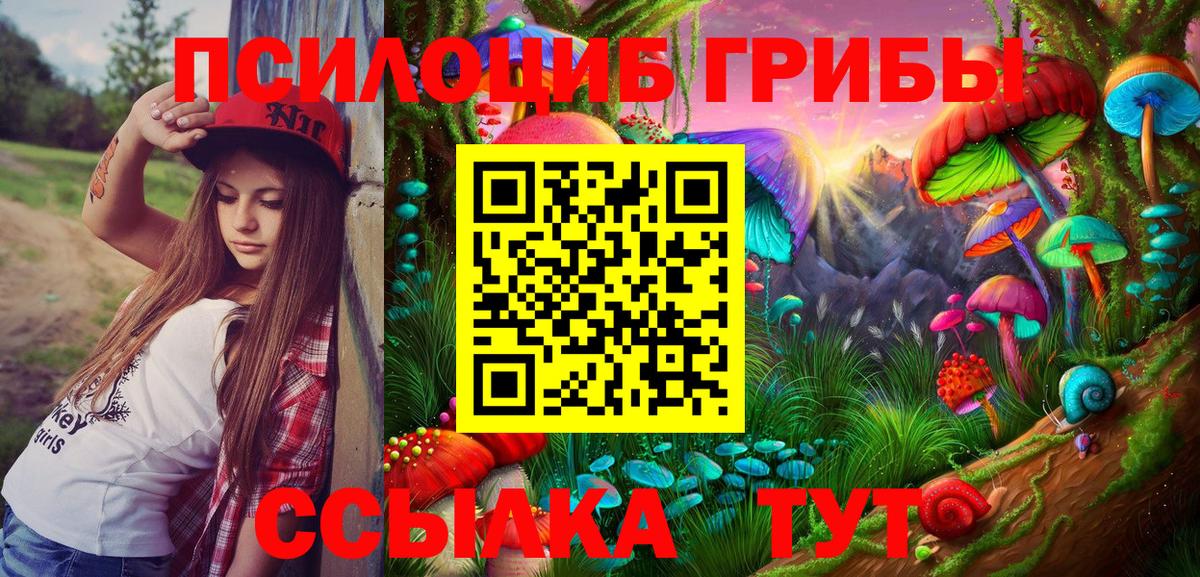 Псилоцибиновые грибы Psilocybine cubensis Михайловск